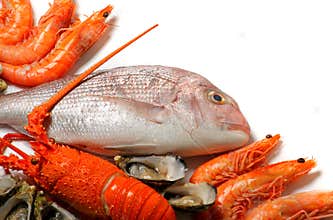 Seafood with copy space