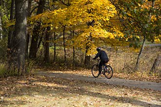 Bicyclist Urban Forest in Michigan Fall