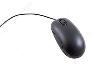 Computer Mouse