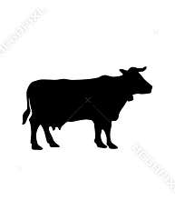Cow silhouette vector