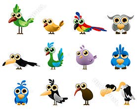 Bird vector