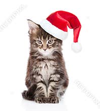 Maine coon cat in red santa hat looking at camera. isolated on white