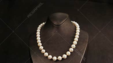 Elegant pearl necklace on a mannequin overview, jewelry made of pearls, classic jewelry for ladies, pearl necklace in