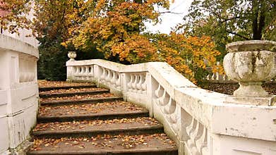 Staircase with fallen leaves