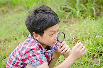Boy using magnifying glass to observing butterfly