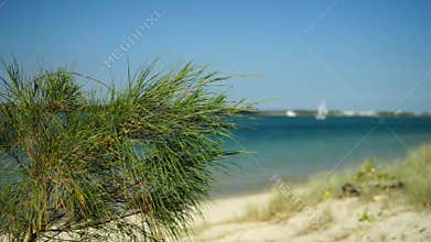 Sunny Day At The Beach