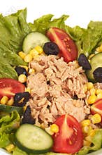 Tuna salads