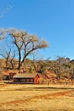 Arizona farmhouse
