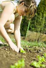 Woman planting seedlings