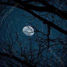 Star Trail with 3/4 Moon