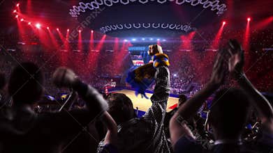 Fans on basketball court in game