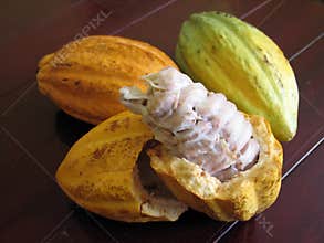 Cocoa beans
