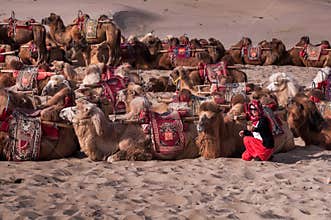 The camel and woman in desert