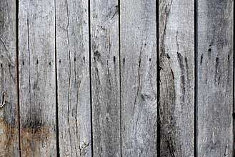 Antique barn siding