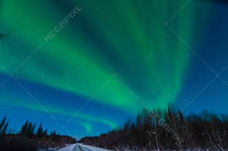 Northern Light