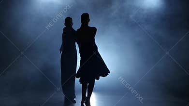 Professional couple of tango dancers posing in smoky studio, silhouette