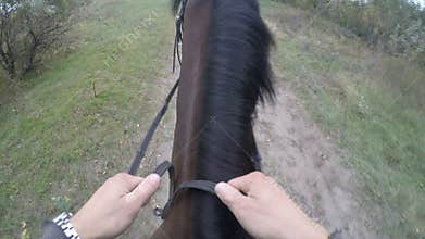 First person view of riding a horse. Point of view of rider walking at stallion at nature. Pov motion. Close up