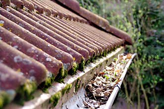 Dirty roof and gutter requiring cleaning
