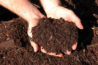 Horse Manure Compost