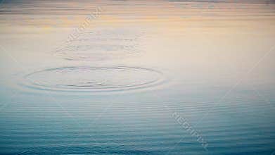 Stone skimmed on water.