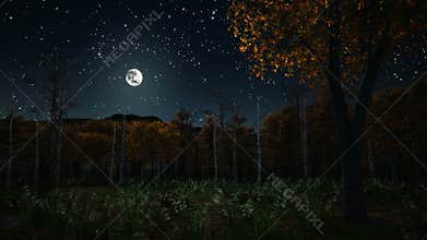 Haunted autumn forest at dark night 4K