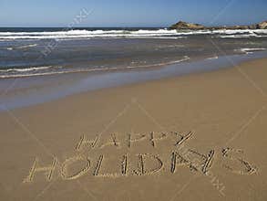 Happy holidays