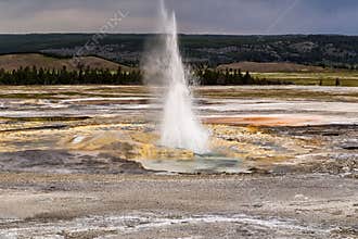 Erupting Clepsydra Geyser in the Lower Geyser Basin in Yellowstone National Park