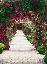 Rose Garden Landscape