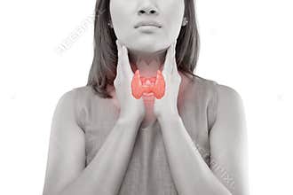 Women thyroid gland control.