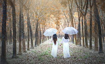 Two Vietnamese girl in traditional long dress or Ao Dai go to the end of the road in rubber forest