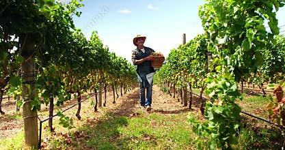 Farmer walking and holding a fruits and vegetables basket