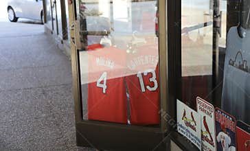 St. Louis Cardinals Molina and Carpenter Jersey`s