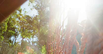 Determined women climbing a net during obstacle course