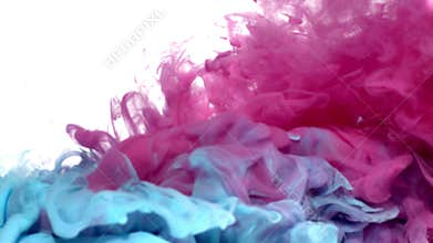 Pink and Blue Ink in Water