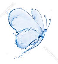 Butterfly made of water splashes isolated on white background