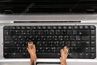 Dog working on computer top view