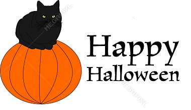 Black cat on pumpkin