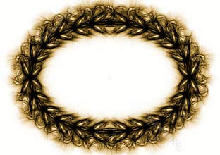 Thorns Oval Border Frame