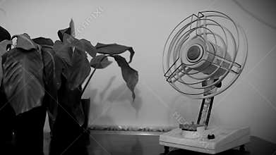Old small broken fan, cooler.