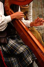 Harp player