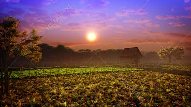 Colors Of Fantasy Landscape Sunset
