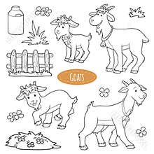 Set of cute farm animals and objects, vector family goats