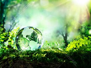 Crystal globe on moss in a forest