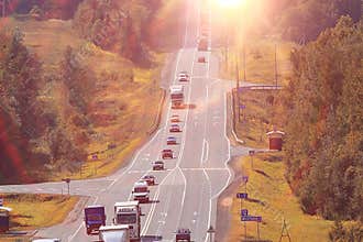 Road sun landscape