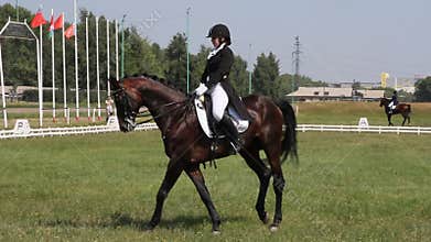 The dressage horse and rider on a green field