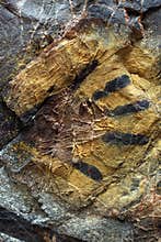 Aboriginal rock painting, hand