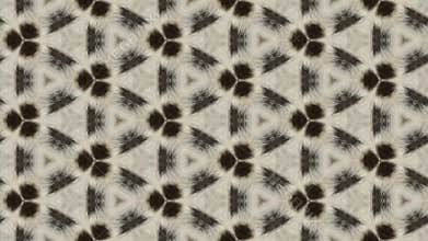 Abstract leopard background animation