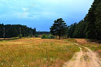 Path along the railroad track