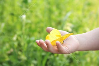 Child's Hand Holding Orange Barred Sulphur Butterfly Outside