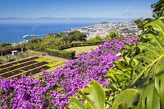 Famous Tropical Botanical Gardens in Funchal town, Madeira island, Portugal